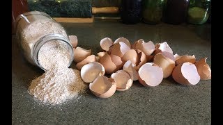 Health Benefits of Egg Shells [upl. by Hubey832]