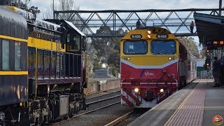 VLine Trains at Traralgon Station [upl. by Eirret]