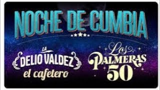 LA DELIO VALDEZ y LOS PALMERASDice que no le importa  lospalmeras deliovaldez cumbia [upl. by Aicinod]