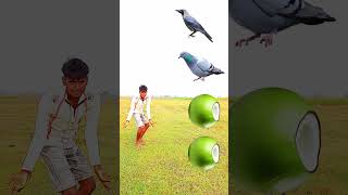 MAGIC Birds Names Come Alive with Cut Green Coconuts vfx trending shorts [upl. by Lissak767]