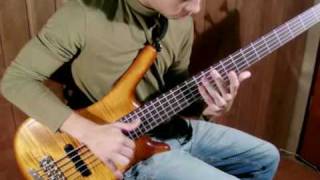 SLAP solo contrabaixo Bass solo [upl. by Xineohp867]