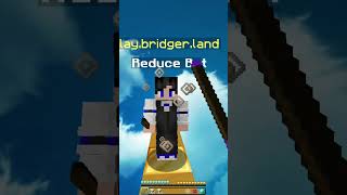 Minecraft Reducer Bot minecraft [upl. by Percy]