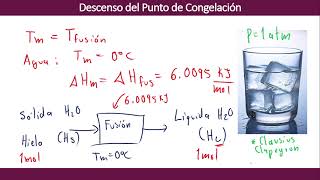 Descenso del Punto de Congelación [upl. by Aiam]