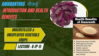 Lecture 6 P1Amaranthus चौलाई या राजगिरा and Health Benefits  BSc MSc amp PhD ICARNET [upl. by Lancey]