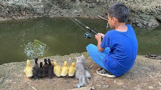 cute pet is so healing The kitten takes the duckling to swim and fishwhat a qualified mother duck [upl. by Duwe506]