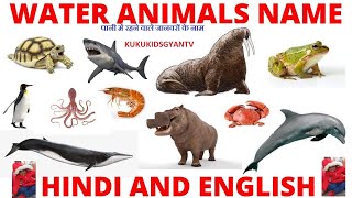 50 Water Animal Names in Hindi and english with picture Aquatic and Marine Animal Name List [upl. by Fabiola]