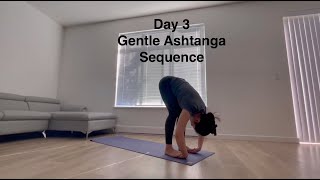 Day 3  Gentle Ashtanga Sequence 10072024 [upl. by Alaehs]