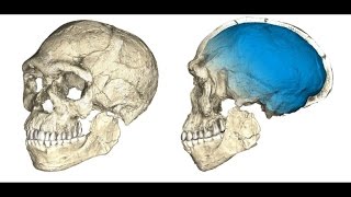 Homo sapiens é 100 mil anos mais velho do que se acreditava [upl. by Eiuqcaj]