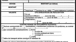 Le crédit documentaire irrévocable et confirmébalisfr3692 [upl. by Stelle]