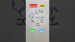 benzyl halide  allyl halide  vinyl halide  aryl halide  Haloalkanes and Haloarenes Class 12 [upl. by Liuqnoj]