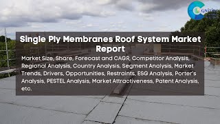 Single Ply Membranes Roof System Market Report 2024  Forecast Trendshare PriceMarket Size [upl. by Volotta]