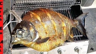 GIANT RIVER PIRANHA CATCH and COOK [upl. by Efioa]