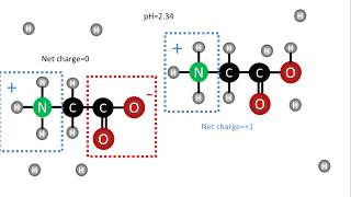 Biochemistry  pKa of amino acids [upl. by Avert]