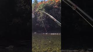 This one tip CHANGED how I catch fish fishing flyfishing bassfishing freshwaterfish trout [upl. by Llerreg]