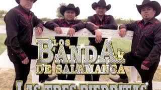 ‼️‼️LAS TRES PIEDRITASLOS BANDA JR DE SALAMANCA‼️‼️ [upl. by Ennirok390]