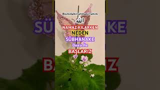 🔥NEDEN SÜBHANAKE DUASI İLE NAMAZA BAŞLARIZ  shortvideo shortsvideo dua namaz short keşfet [upl. by Gnof]