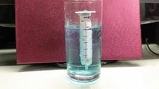 Diy Hydrometer [upl. by Philana]