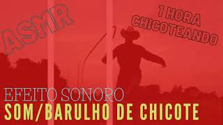 efeito sonoro de chicote  som de chicote  instalo de chicote barulho  barulho de chicote [upl. by Aenyl142]