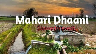 Mahari Dhaani main slowed reverb  Haryanvi song160K [upl. by Noelle]