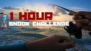 1 hour SNOOK challenge ⏳ [upl. by Novaj660]