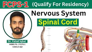 FCPS1  Nervous System  Spinal Cord  Anatomy of Spinal Tracks Blood Supply [upl. by Elmo]