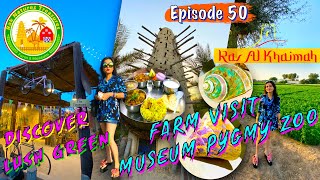 Farm Visit in RAK Natures Treasures Ras Al Khaimah Zoo amp Museum  Things to do in Summer Dubai Vlog [upl. by Gredel302]