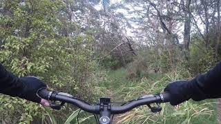 GREENHITHE BIKE PARK SHORTYS LEG TRAIL😎 [upl. by Ettesel634]