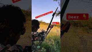 80 35lb Bow 🏹 Vs Deer 🦌deerhunting bowhunting archery bowsandarrows traditionalarchery [upl. by Armand]