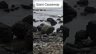 The Giant Causeway Part 1 viralshort travel europe viralvideo viralshorts ireland belfast uk [upl. by Brendis]