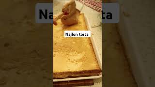 Najlon torta najbolji recept [upl. by Philippe]