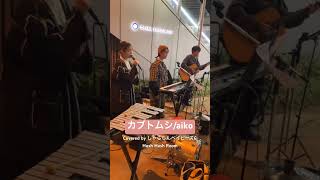 ｢カブトムシ｣aiko Covered by Hush Hash Roomampしゃららんベイビーズ shorts 路上ライブ cover [upl. by Acul]