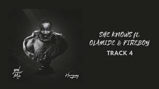 Harrysong feat Olamide amp Fireboy DML  She Knows Official Audio [upl. by Creight901]