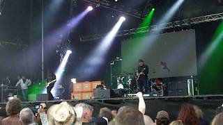 Primus  Wynonas Big Brown Beaver Live  SRF 2017 [upl. by Lemaj]