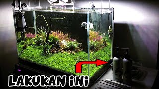 5 Tips Memelihara Ikan Hias Aquarium Dengan Benar [upl. by Joanie]