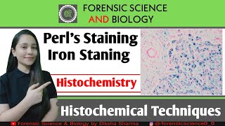 Histochemistry  Perls Reaction of Histochemical Method  Iron level Detection in Tissues [upl. by Herzberg]