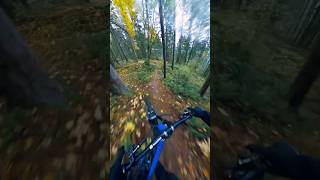 GREASY amp Steep 🤟 mtb downhill [upl. by Komarek492]