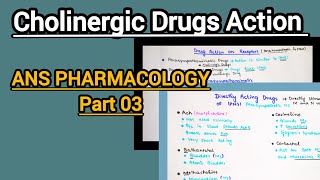 Directly Acting Cholinergic Drugs Cholinergic Drug ActionANS Pharmacology Part 03 [upl. by Pytlik307]