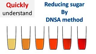 Reducing sugar by DNS method  3 5 Dinitrosalicylic acid DNSA method [upl. by Sackey]