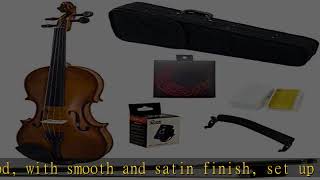 Paititi 34 Size Artist100 Student Violin Starter Kit with Brazilwood Bow Lightweight Case Should [upl. by Eytak]