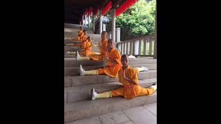 Exploring SHAOLIN MONK TRAINING SECRETS shorts shortvideo [upl. by Enohpesrep]