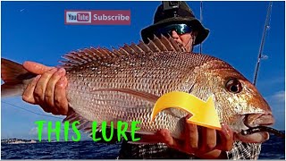 This Lure Catches Fish NZ Kayak Fishing [upl. by Olifoet994]