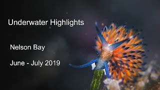 Highlights  July 2019 [upl. by Nodlehs]