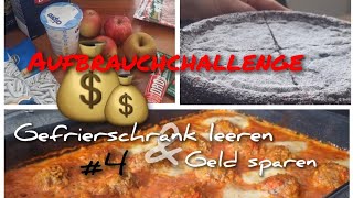 Aufbrauchchallenge Tag 4  Gefrierschrank leeren und Geld sparen 💰 [upl. by Rengia]