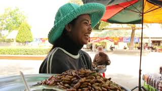 Amazing Country and Street Foods  Cambodian Foods Snacks Recipes and Refreshments and More [upl. by Ordnagela]