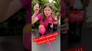 How sticky paints kill animals amp birds facts shortsvideo trendingshorts [upl. by Ackerman]