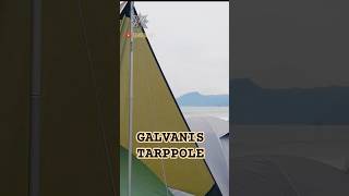 Galvanis Tarp Pole‼️🏕🪵🌲tiang flysheet naturehike flysheet consina [upl. by Enelhtac]