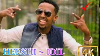 Cawaale aadan heestii idil lyrics 2020 [upl. by Akinet453]