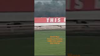 Daniel Wyse Greyhound Training CORK CITY Ireland 330 71024 [upl. by Wendell]