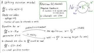 A simple spiking neuron model sodium and potassium channels [upl. by Einram152]