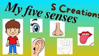 My Sense Organs  Body Parts  S Creations  Science Topics [upl. by Suicul]